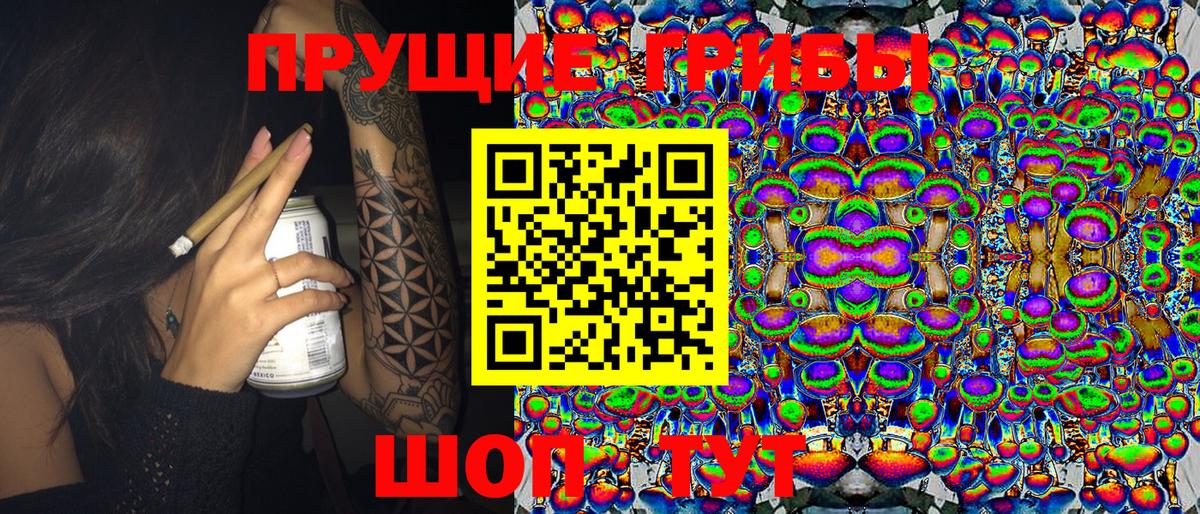 Галлюциногенные грибы Psilocybe  Вход с VPN  Кудымкар 