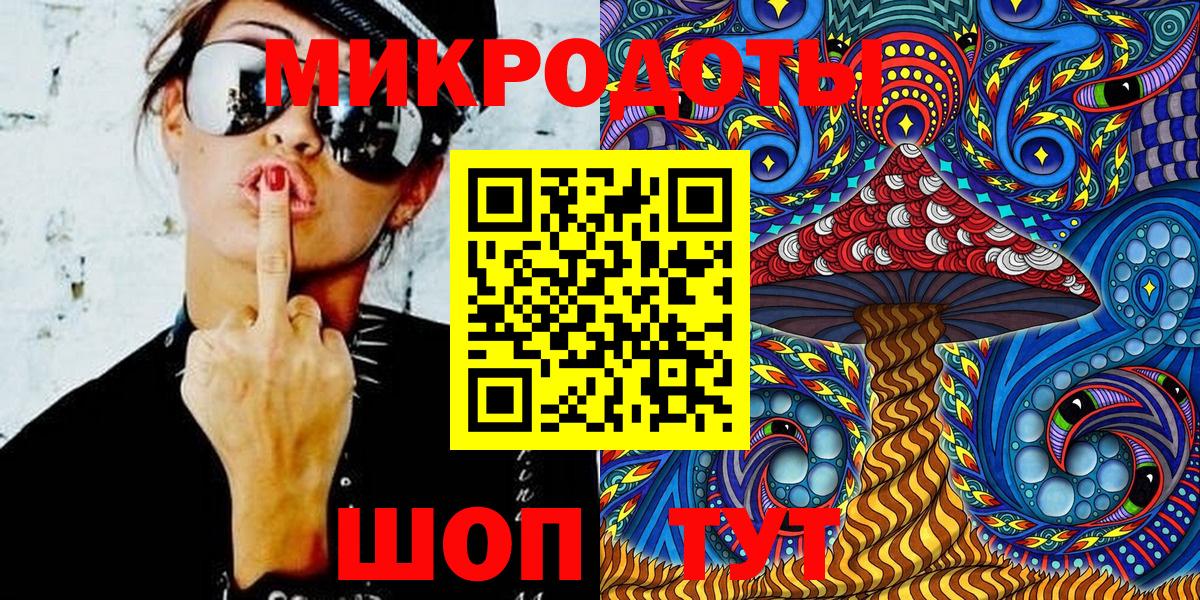 Галлюциногенные грибы Psilocybine cubensis Кудымкар